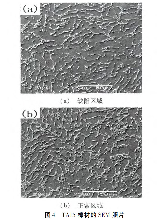 1626339945952830.jpg 5.jpg