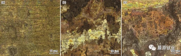 圖3 周浸腐蝕實(shí)驗(yàn)后3組試樣中的316L不銹鋼表面形貌 圖3 周浸腐蝕實(shí)驗(yàn)后3組試樣中的316L不銹鋼表面形貌g