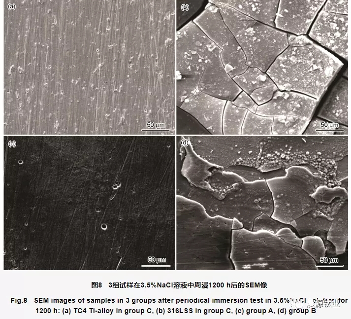 周浸腐蝕實(shí)驗(yàn)后不同組試樣表面形貌的SEM像 周浸腐蝕實(shí)驗(yàn)后不同組試樣表面形貌的SEM像