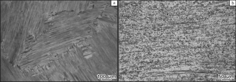 1679453629546745.jpg t4.jpg