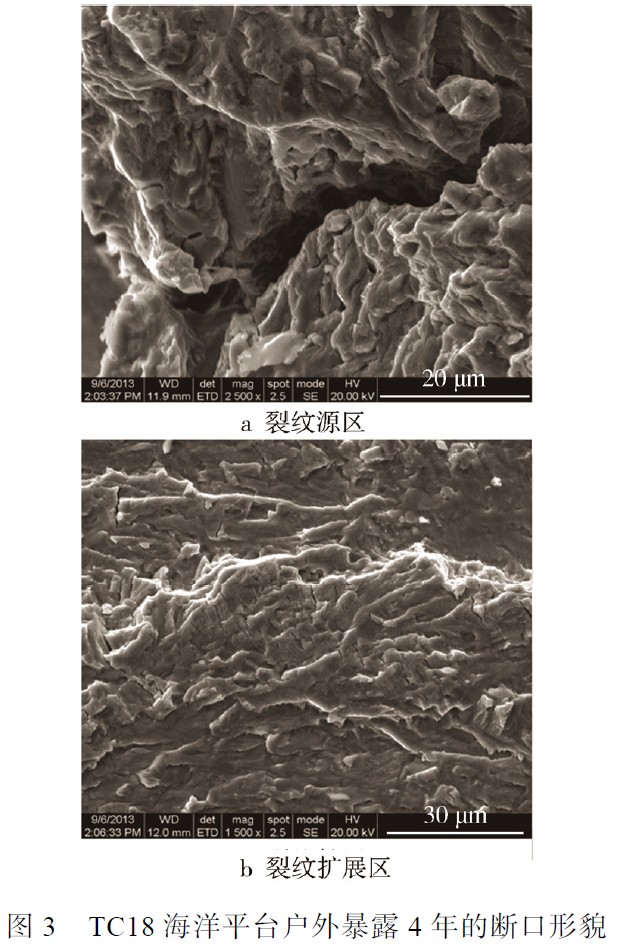 1683459405906355.jpg t3.jpg