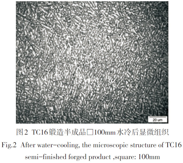 1685027763964275.jpg t2.jpg