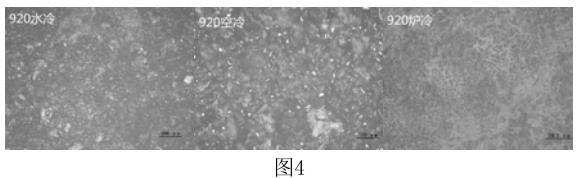 1688899937799168.jpg 360截圖16230315204326.jpg