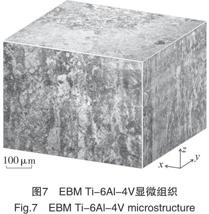 1692437109632203.jpg t7.jpg