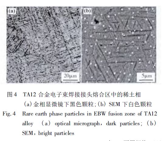 1696586998716926.jpg 11.jpg