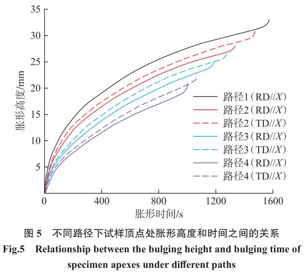 1700707158558120.jpg t5.jpg