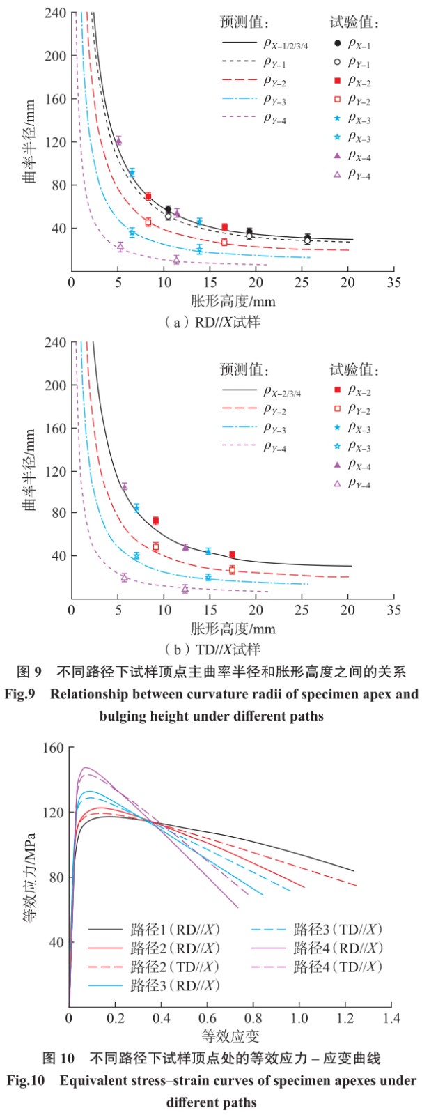 1700707200410246.jpg t9-10.jpg