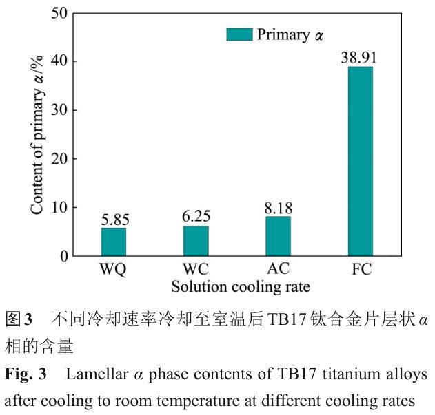 1701442178569540.jpg t3.jpg