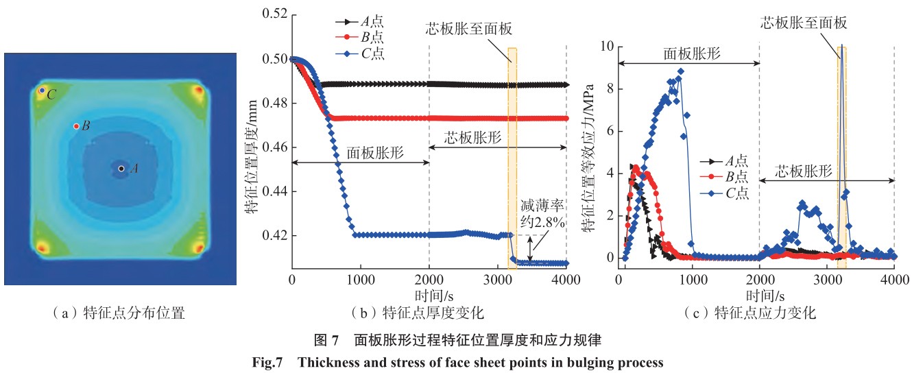 1702020203967157.jpg t7.jpg
