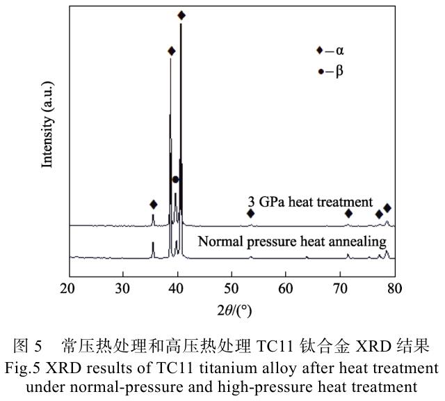 1702470983421177.jpg t5.jpg