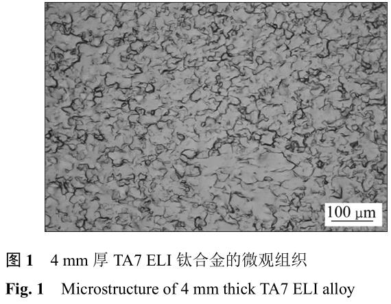 1705735452323890.jpg t1.jpg