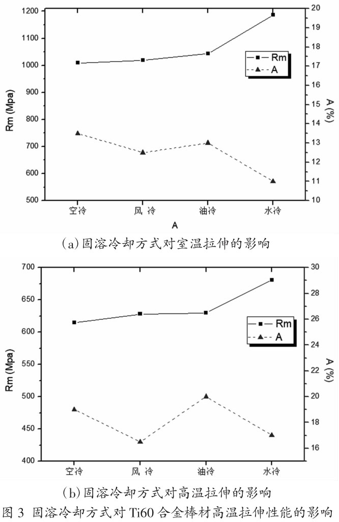 1708007704813134.jpg t3.jpg