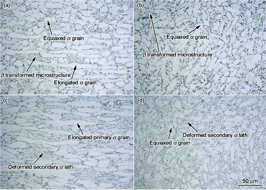 1709604611992588.jpg 1.jpg