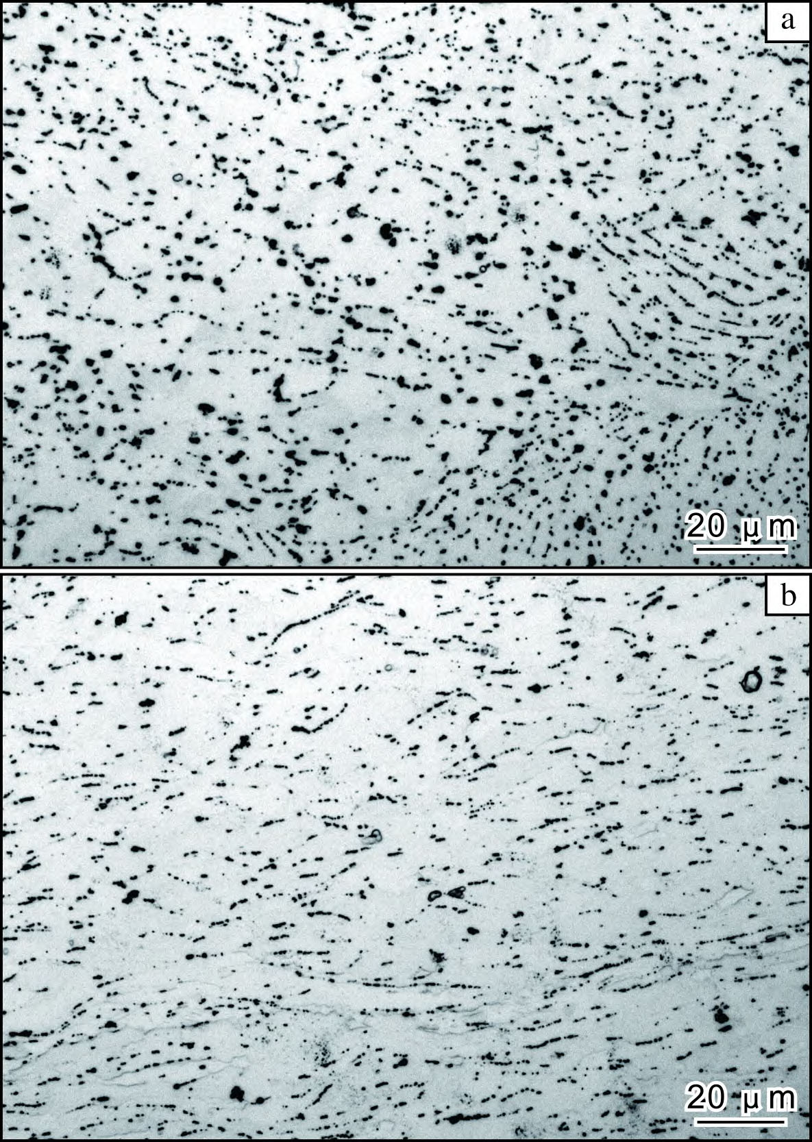 1709634952147344.jpg 1.jpg