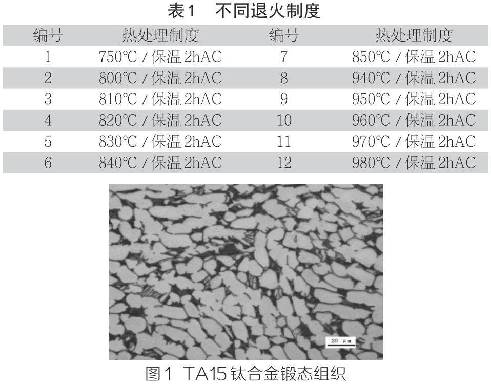 1710489028623583.jpg b1-t1.jpg