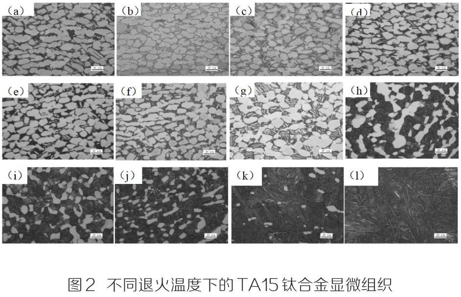 1710489038286899.jpg t2.jpg