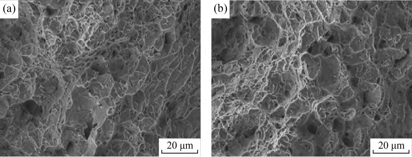 1710817752329926.jpg 4.jpg