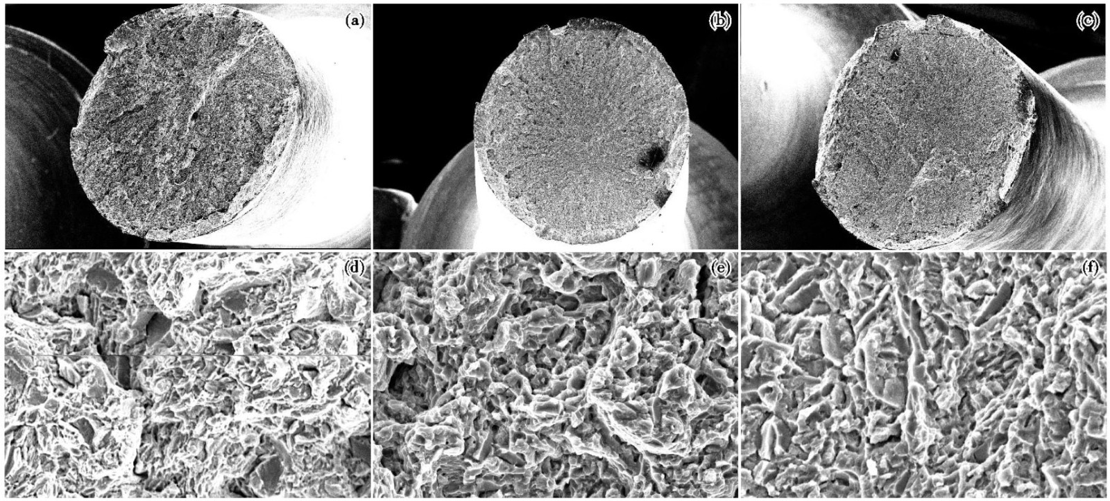 1712482578517324.jpg 5.jpg