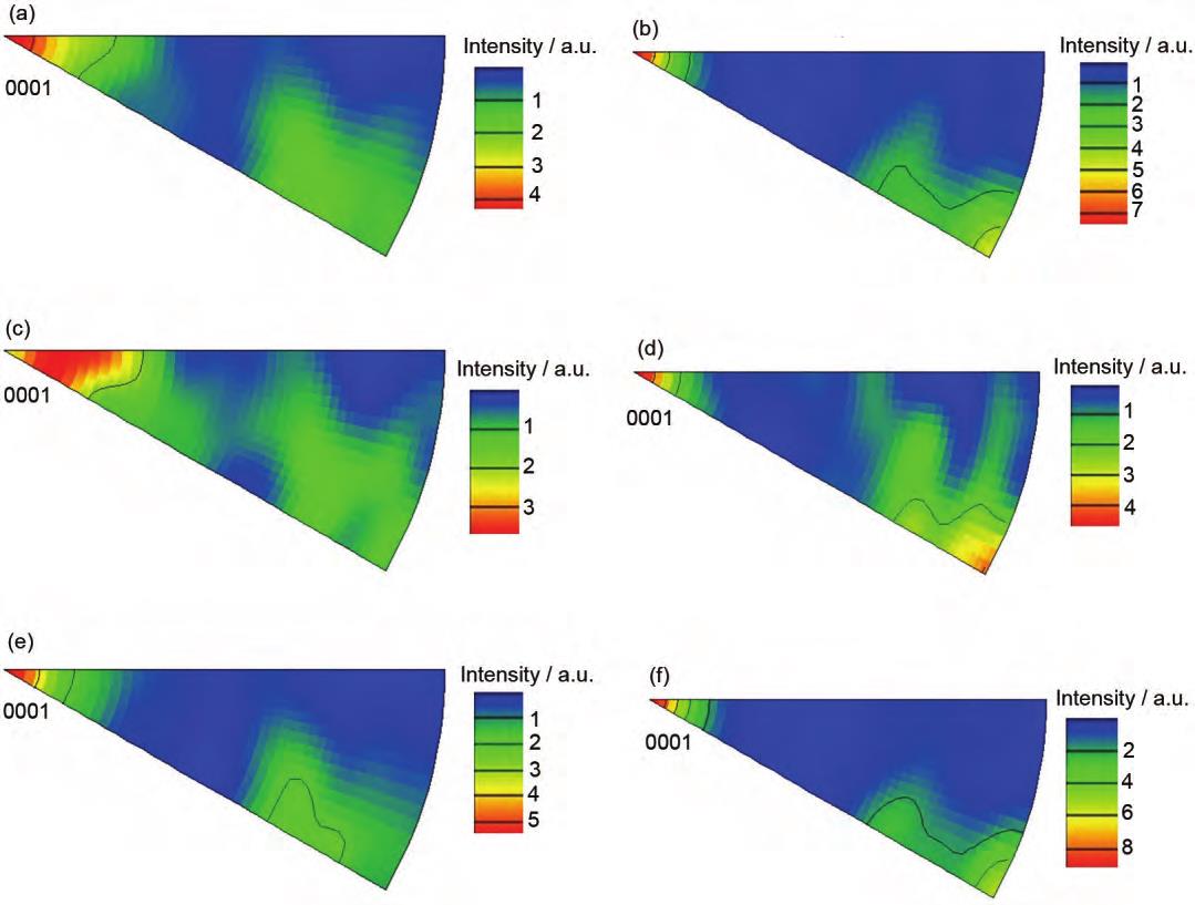 1713928018566369.jpg 7.jpg