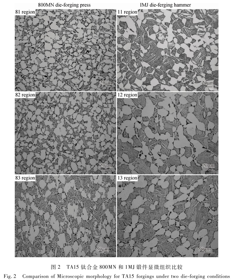 1714360355693833.jpg 未標(biāo)題-2.jpg