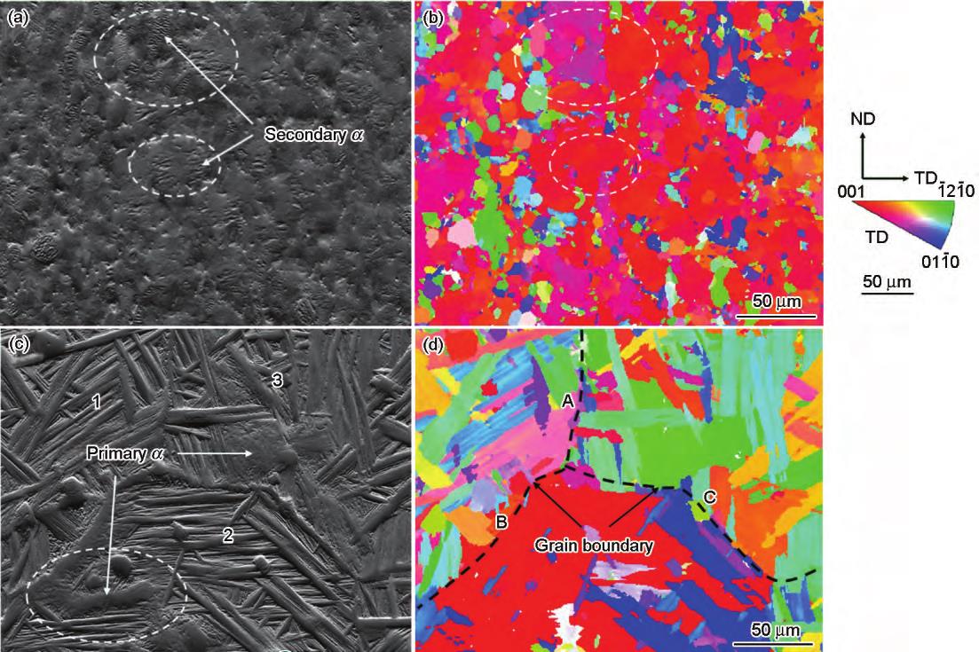 1721011925911262.jpg 4.jpg