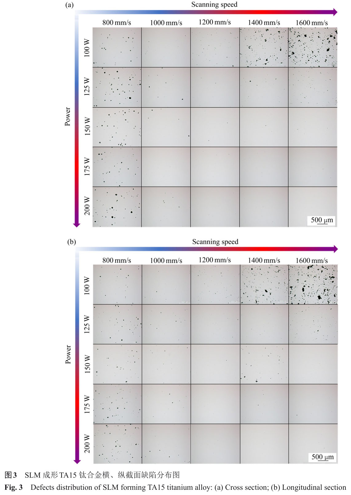 1721808824430512.jpg t3.jpg