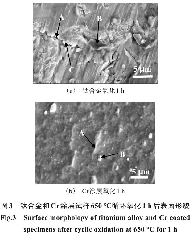 1722308286150528.jpg 360截圖16200707503141.jpg