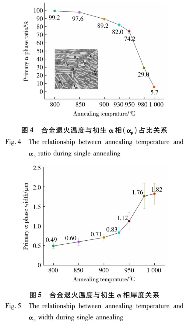 1723799190796925.jpg t4-5.jpg