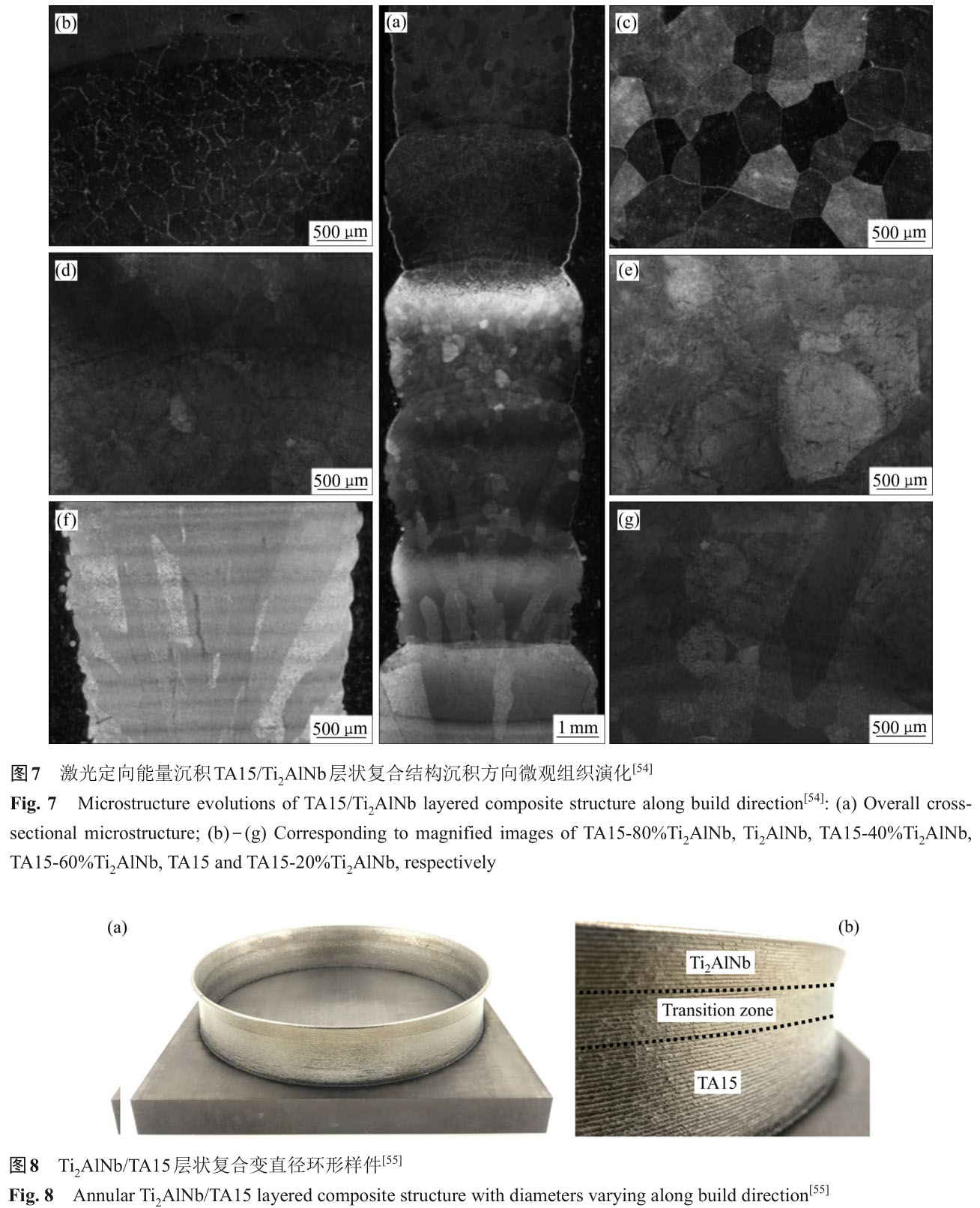 1724665074901402.jpg t7-8.jpg