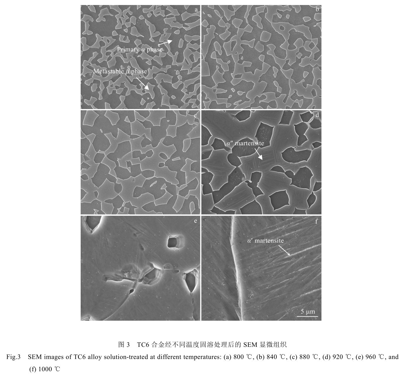 1726732824681954.jpg t3.jpg