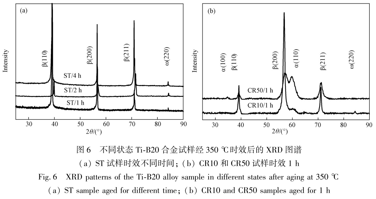 1728126509627043.jpg t6.jpg