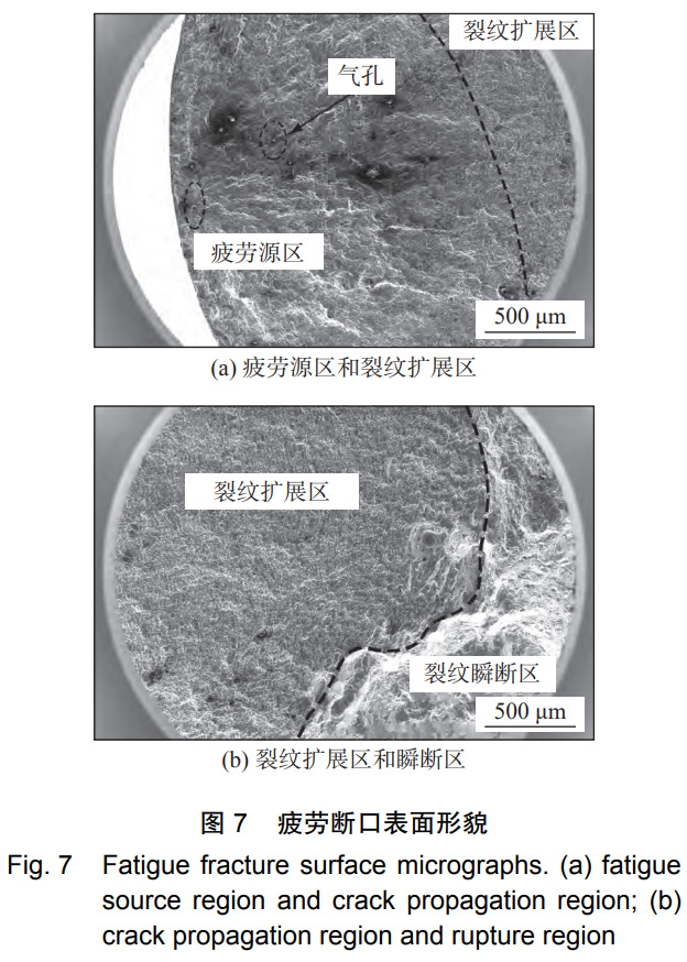 1731120055859514.jpg 7.jpg