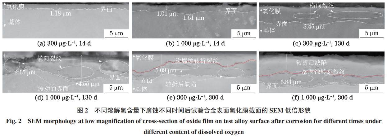 1733039410138078.png 2.png