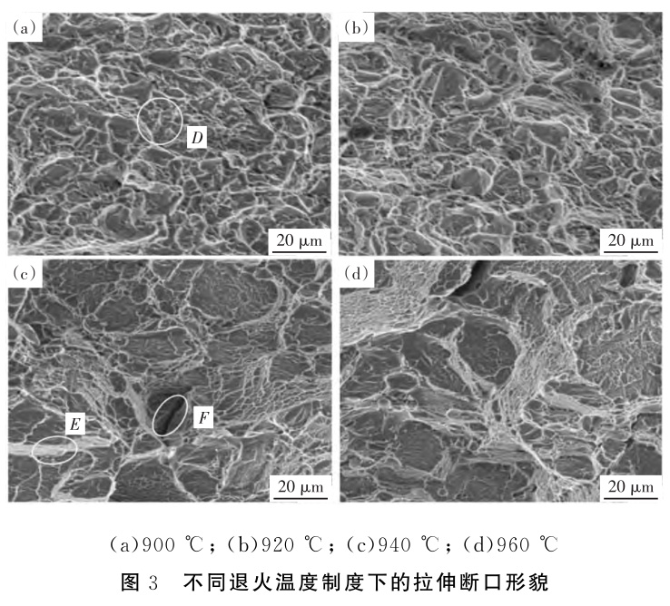 1733105554549526.jpg 3.jpg