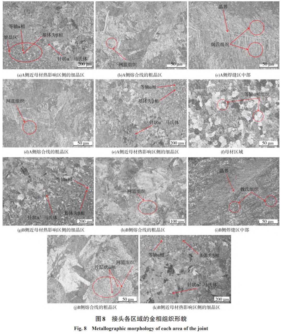 1736049399661725.jpg 8.jpg