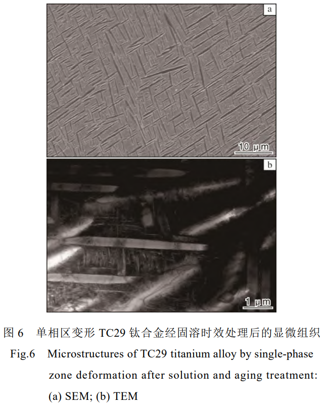 1736066983574038.png 6.png