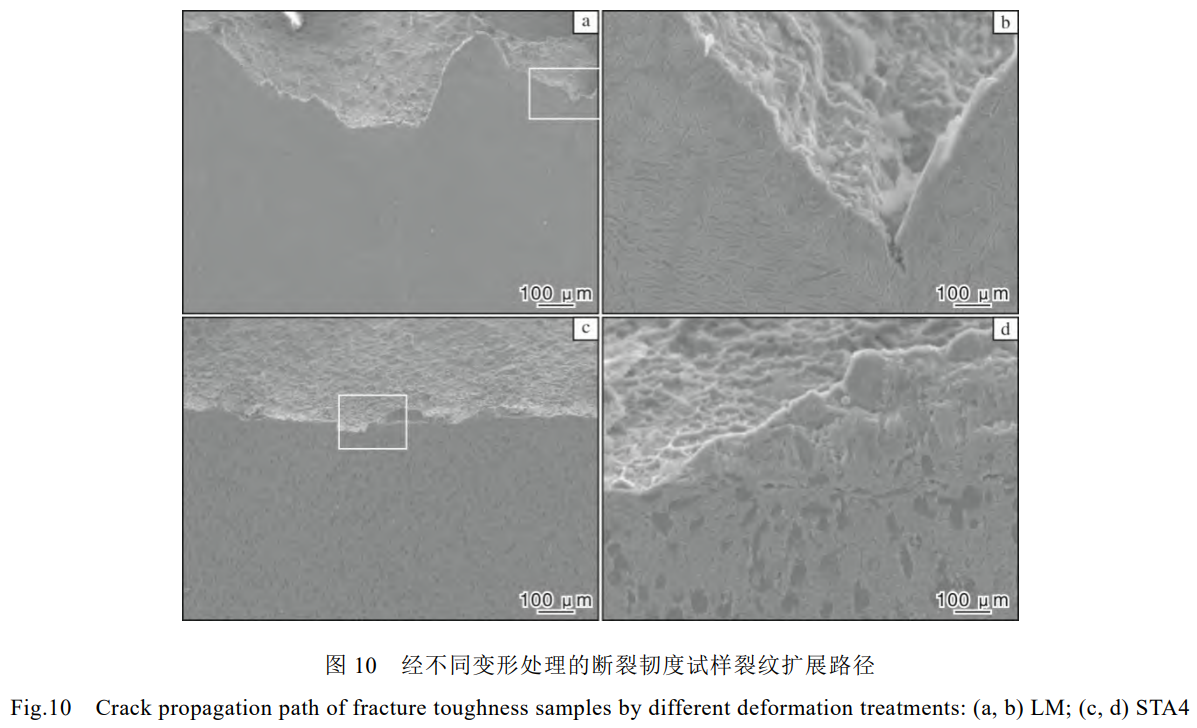 1736067024999923.png 10.png