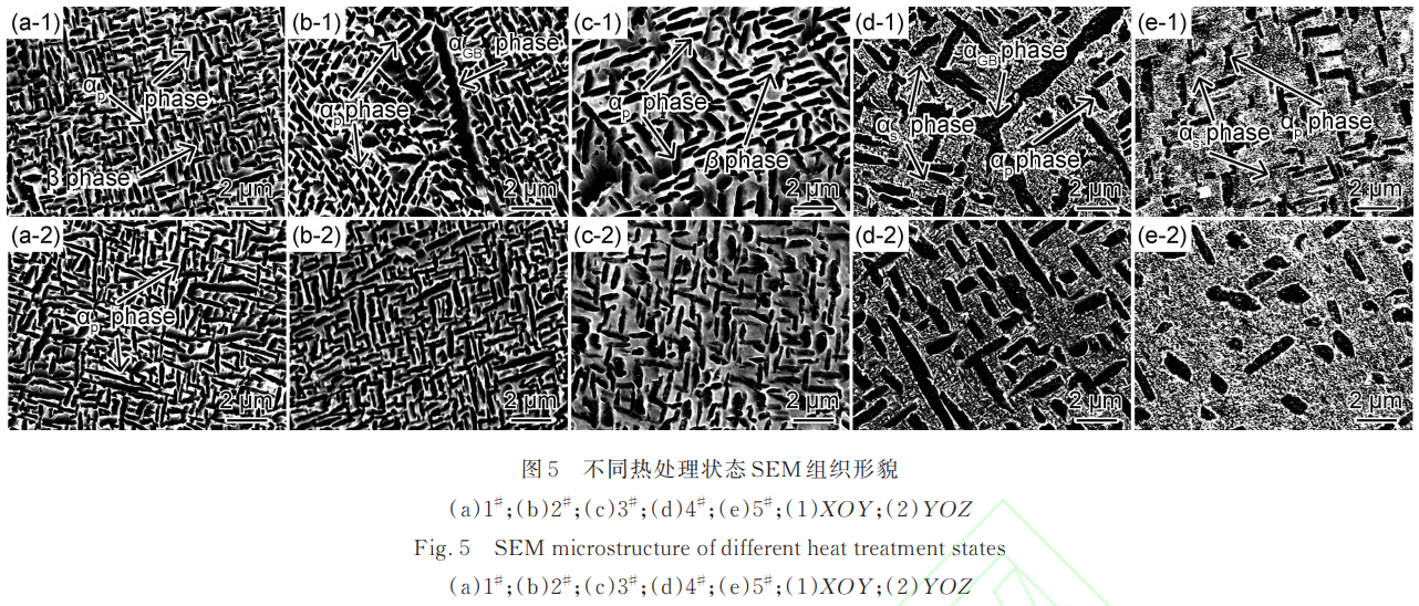 1743388858197086.png 截圖20250331103746.png