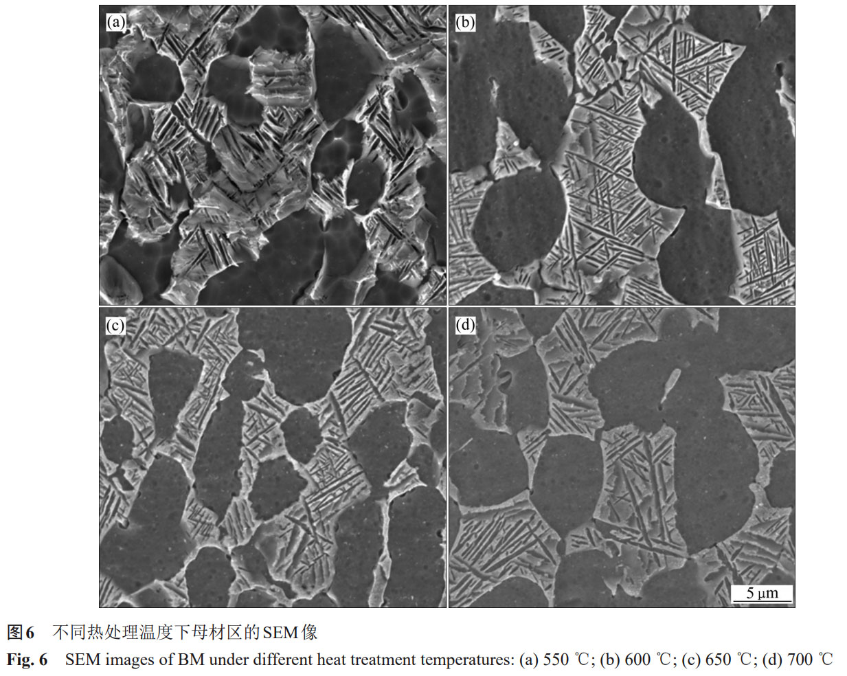 1758633537851854.jpg 未標(biāo)題-5.jpg