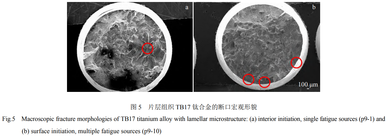 1760946497252019.png 截圖20251020154505.png