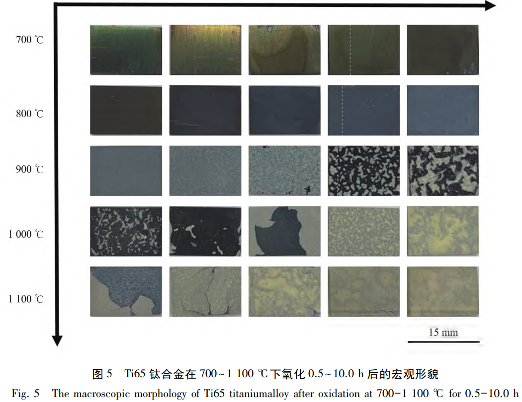 1762333640328473.png 截圖20251105165830.png