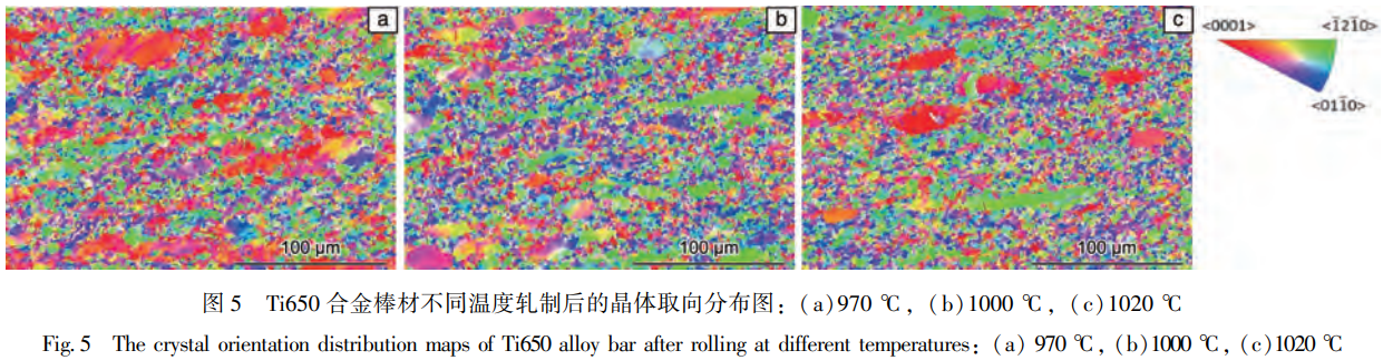 1768791526804688.png 5.png