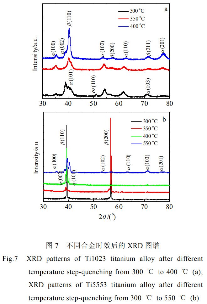 1768822563870675.jpg 7.jpg