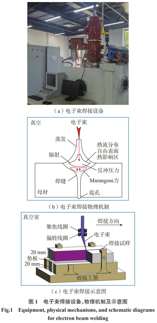 1768825500616653.jpg 1.jpg