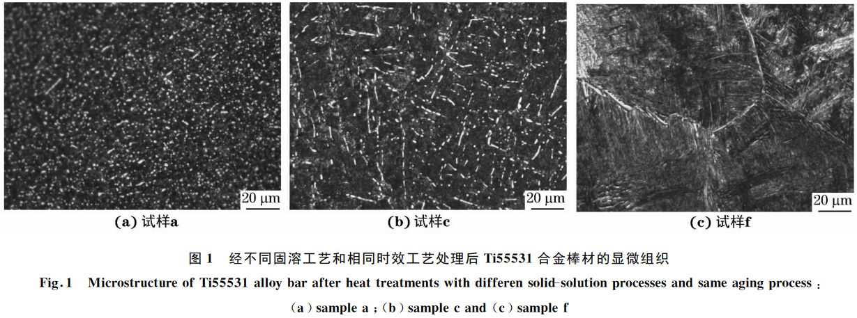 1768826908366297.png 1.png