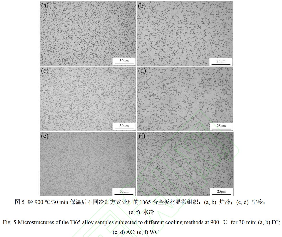 1769330565200012.jpg 5.jpg