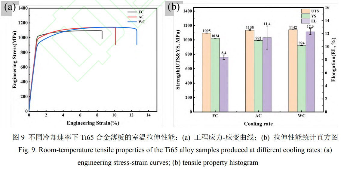 1769330629830014.jpg 9.jpg