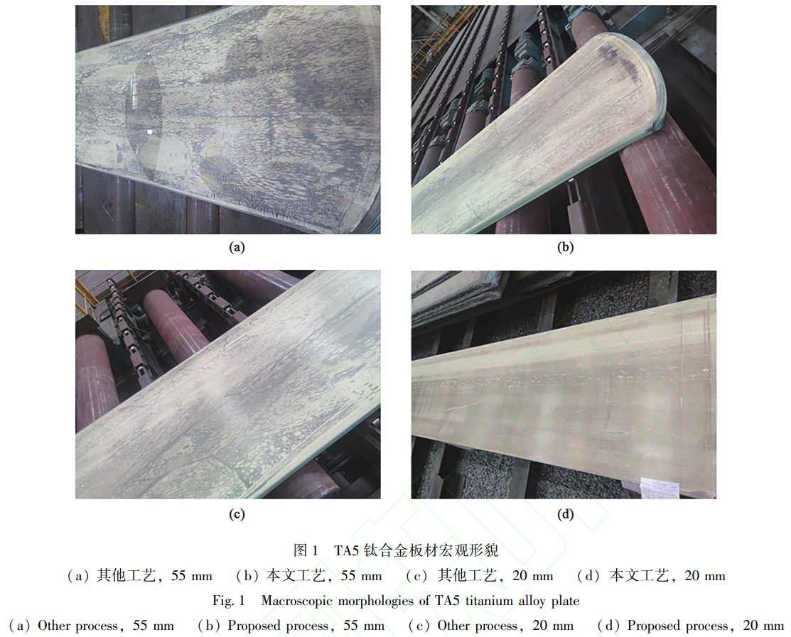 1769346305185147.jpg 1.jpg