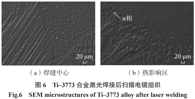 1772009394330074.png 6.png