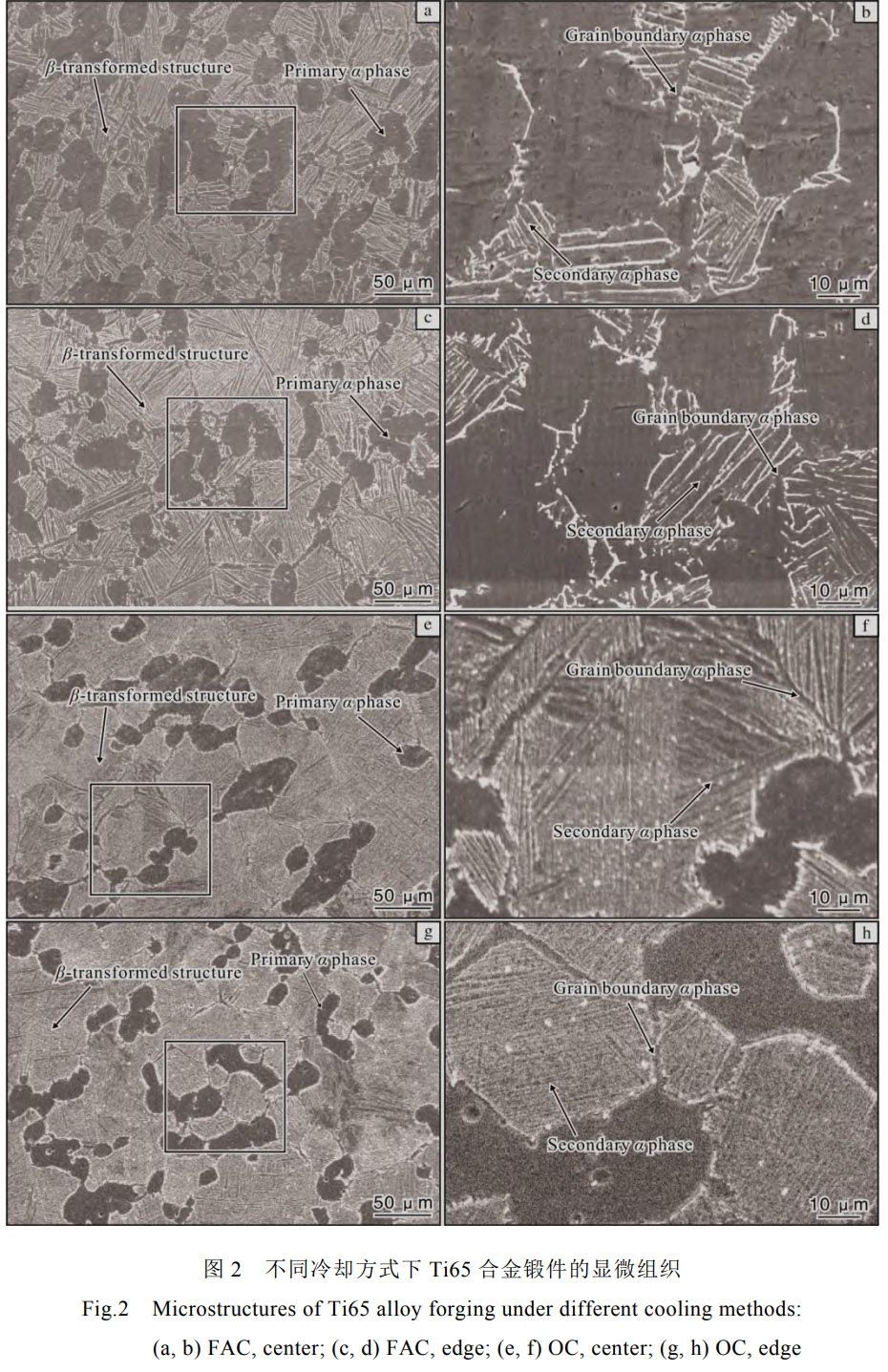 1773281547870805.jpg 2.jpg